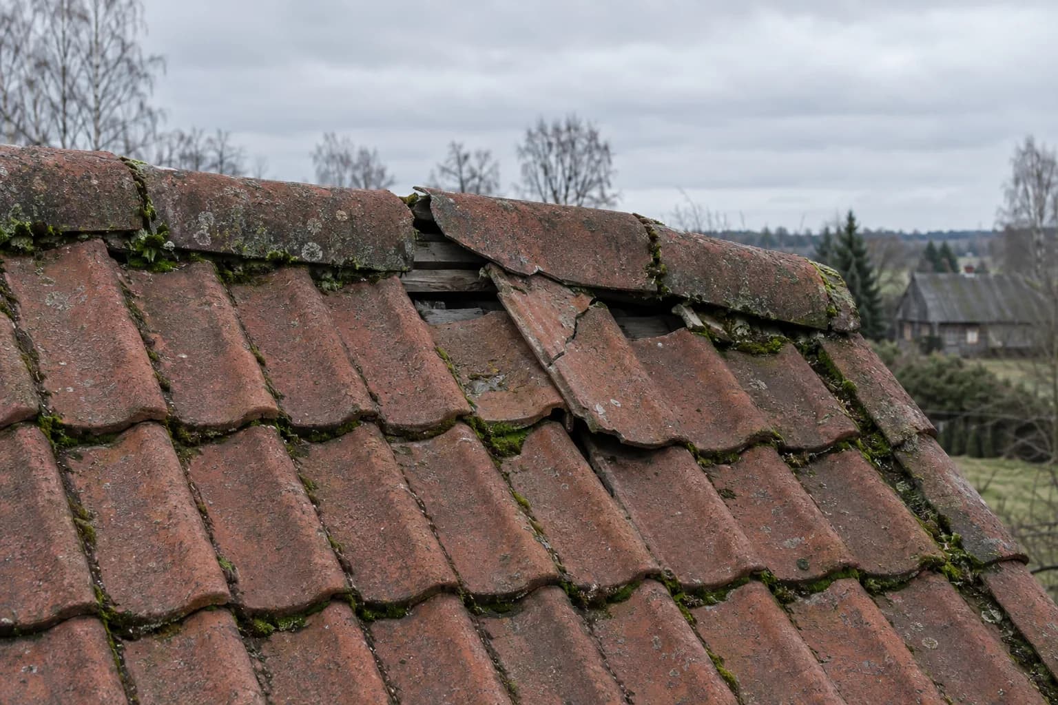 Įskilusios ir pasislinkusios betoninės čerpės prie kraigo, apaugusios samanomis